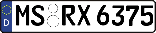 MS-RX6375