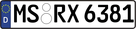 MS-RX6381