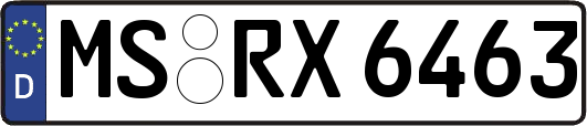 MS-RX6463