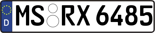 MS-RX6485