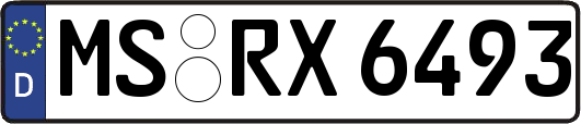 MS-RX6493