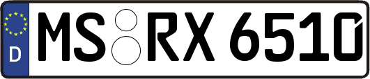 MS-RX6510