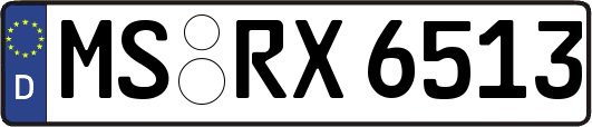 MS-RX6513