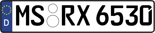 MS-RX6530