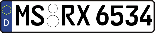 MS-RX6534