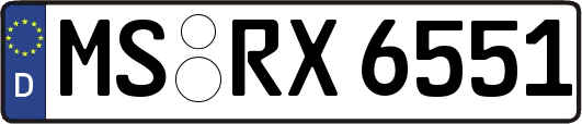 MS-RX6551