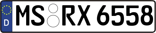 MS-RX6558
