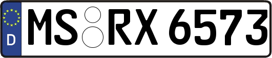 MS-RX6573