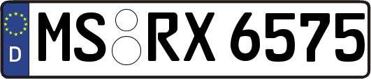 MS-RX6575