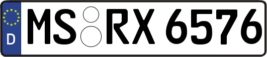 MS-RX6576