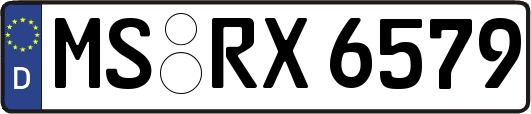 MS-RX6579
