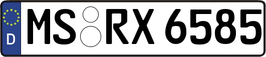 MS-RX6585