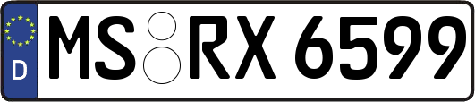 MS-RX6599