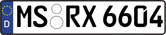 MS-RX6604