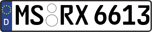 MS-RX6613