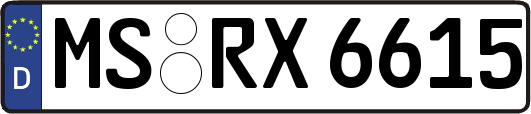 MS-RX6615