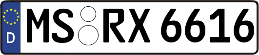 MS-RX6616