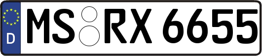 MS-RX6655