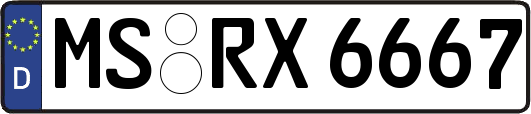 MS-RX6667