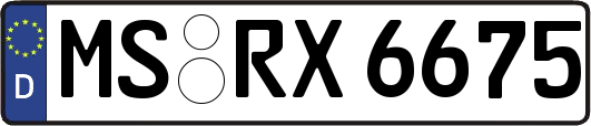 MS-RX6675