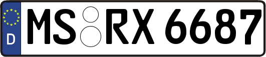 MS-RX6687