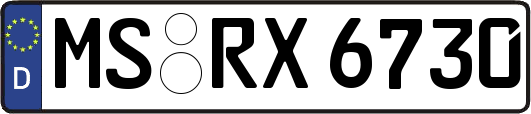 MS-RX6730