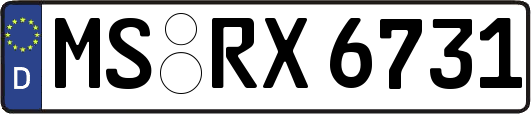 MS-RX6731