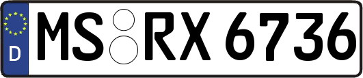 MS-RX6736