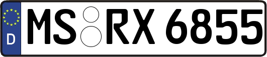 MS-RX6855