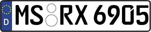 MS-RX6905