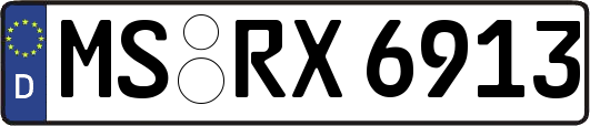 MS-RX6913