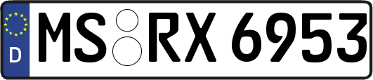 MS-RX6953