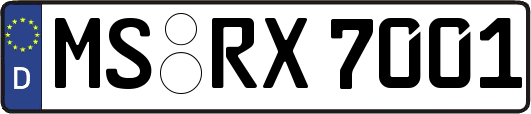 MS-RX7001