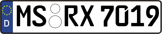 MS-RX7019