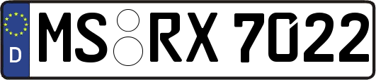 MS-RX7022