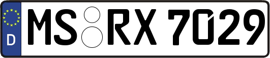 MS-RX7029