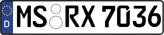 MS-RX7036