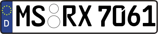 MS-RX7061