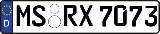 MS-RX7073