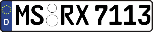MS-RX7113