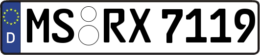 MS-RX7119