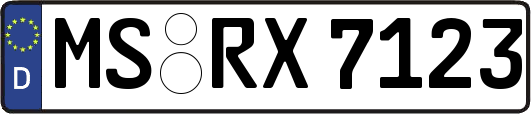 MS-RX7123