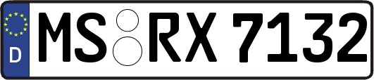 MS-RX7132
