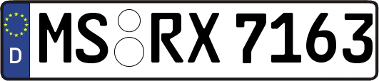MS-RX7163