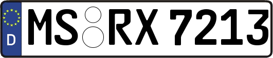 MS-RX7213