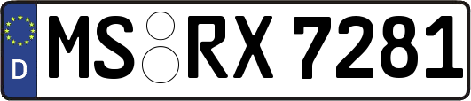 MS-RX7281