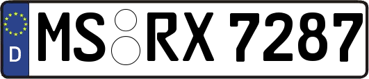 MS-RX7287