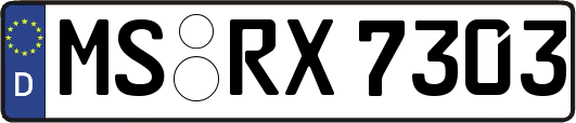 MS-RX7303