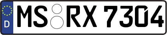MS-RX7304