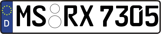 MS-RX7305